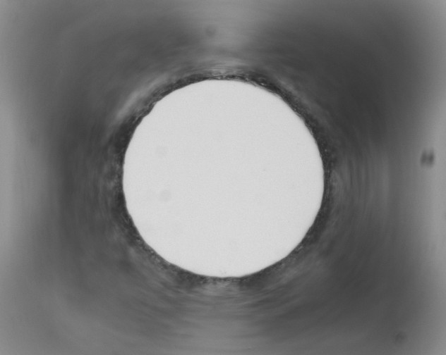 X0000111851447200909031716