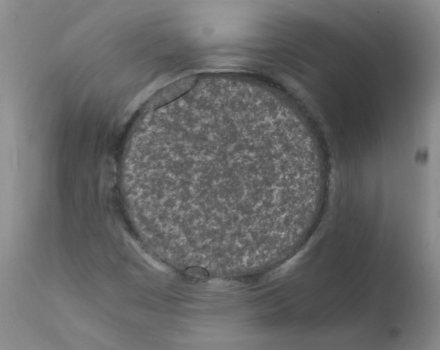 X0000111851449200909031716