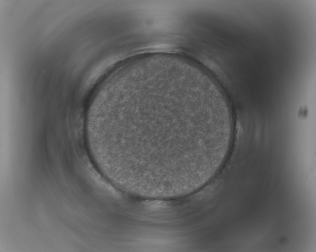 X0000111851450200909031716