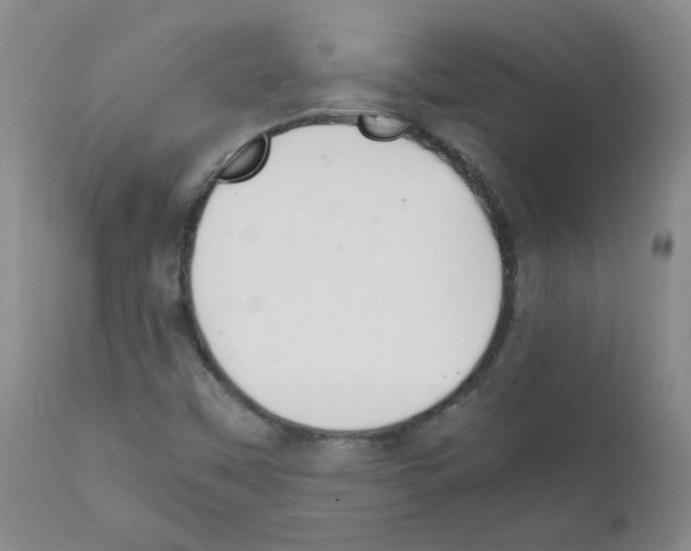 X0000111851451200909031716