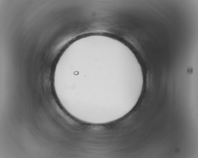 X0000111851452200909031716