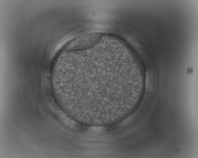 X0000111851453200909031716