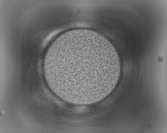 X0000111851454200909031716