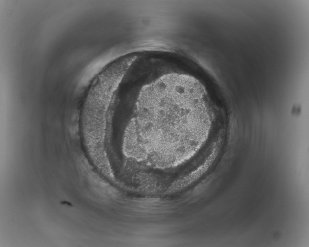 X0000111851455200909031716