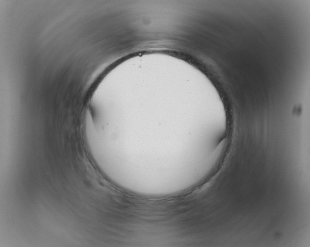 X0000111851457200909031716