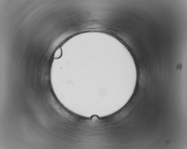 X0000111851458200909031716