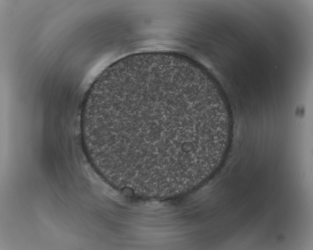 X0000111851459200909031716