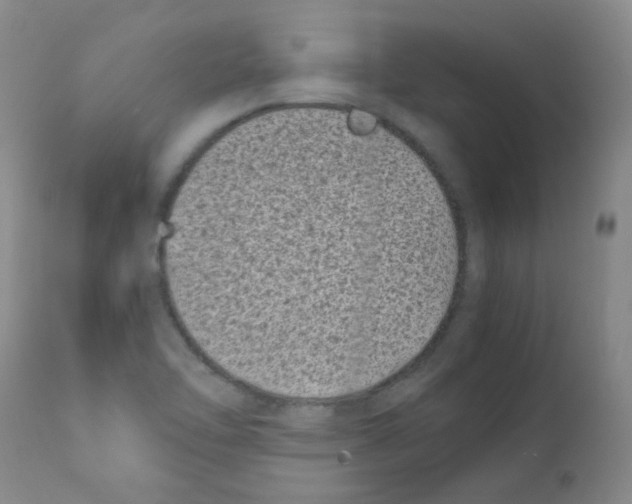 X0000111851462200909031716