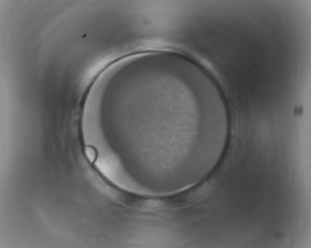 X0000111851463200909031716