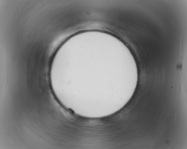 X0000111851464200909031716