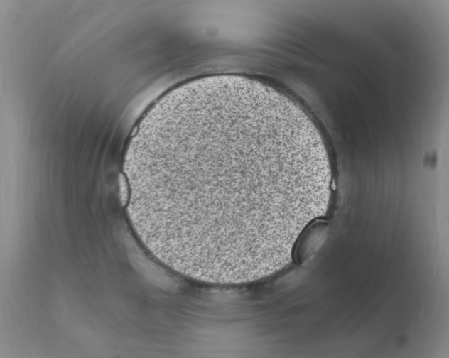 X0000111851465200909031715