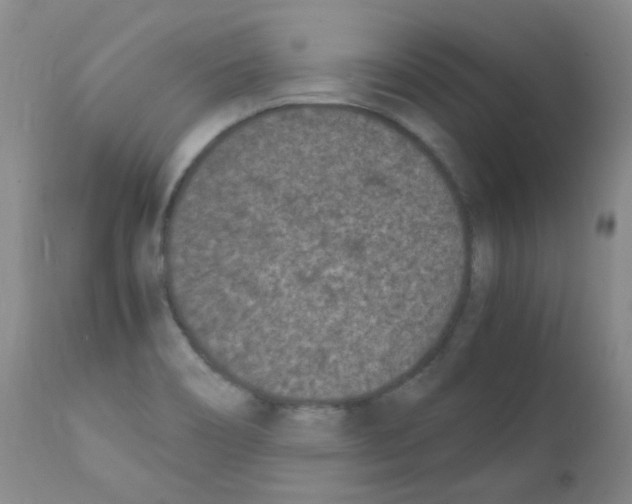 X0000111851466200909031715