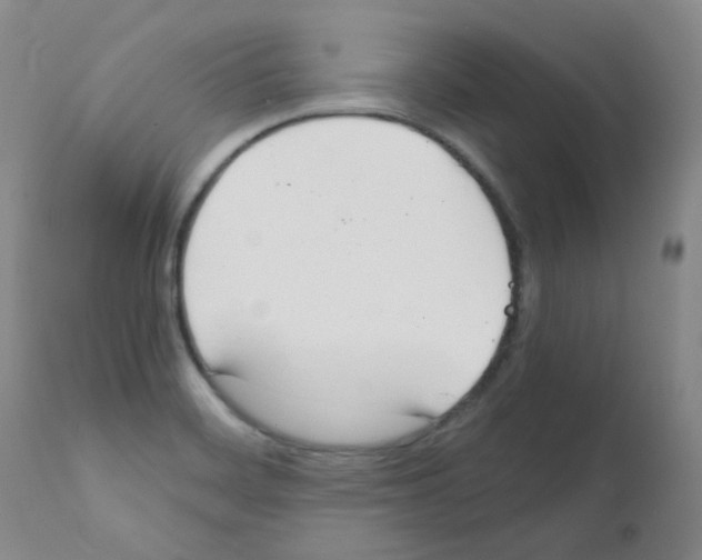 X0000111851468200909031715