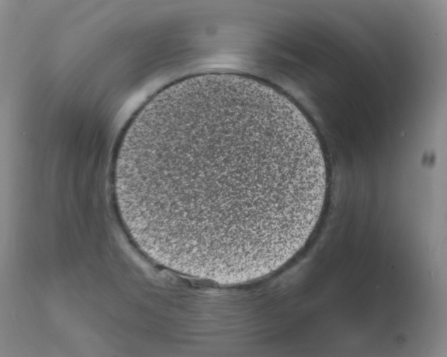 X0000111851469200909031715