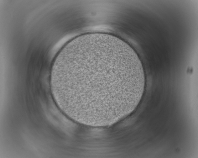 X0000111851470200909031715
