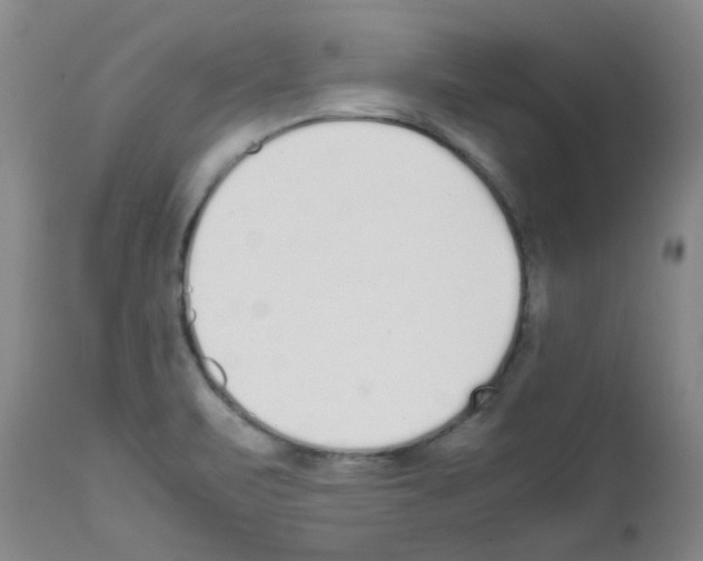 X0000111851471200909031715