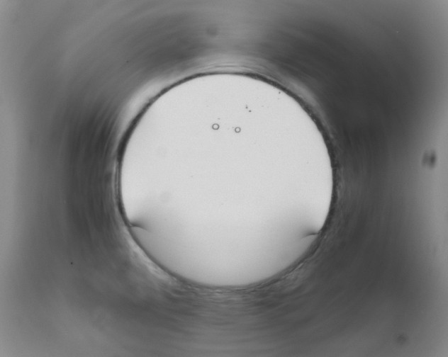 X0000111851472200909031715