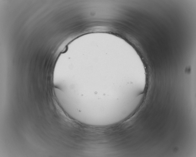 X0000111851473200909031715