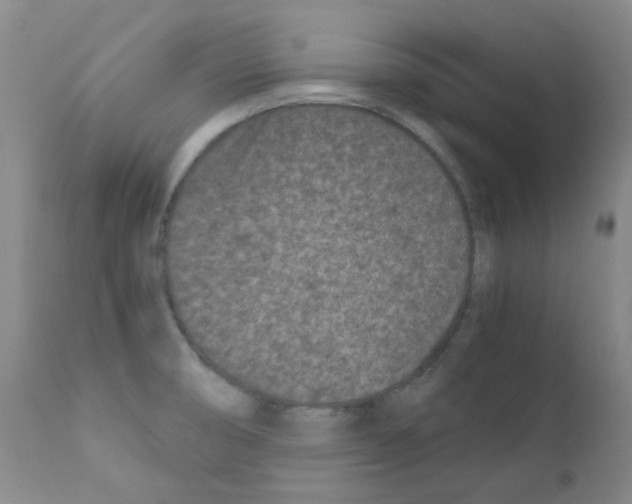X0000111851474200909031715