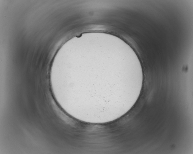 X0000111851475200909031715