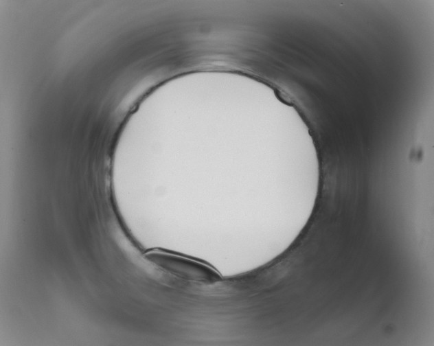 X0000111851476200909031715