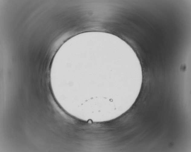 X0000111851479200909031715