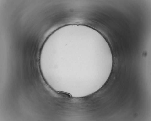X0000111851480200909031715
