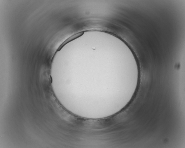 X0000111851481200909031715