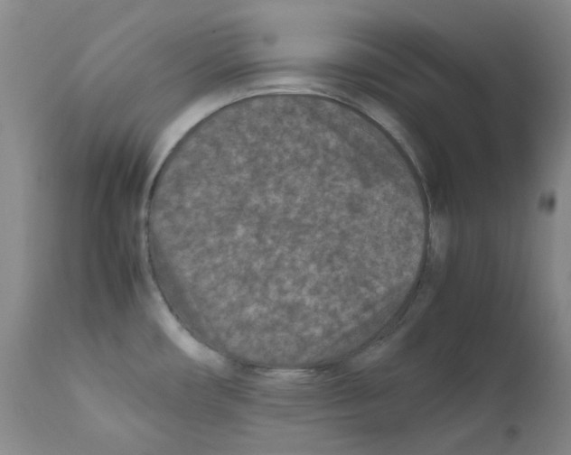 X0000111851482200909031715