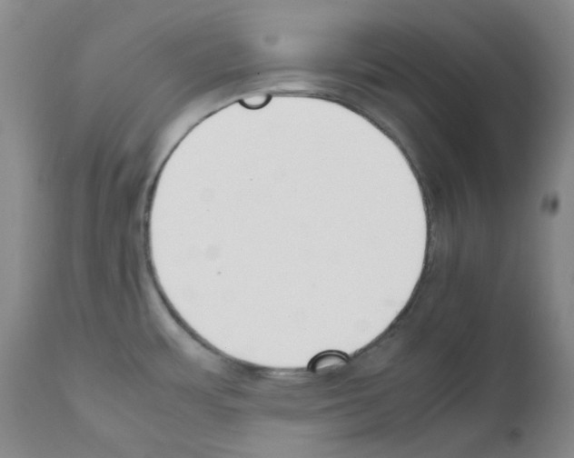 X0000111851483200909031715