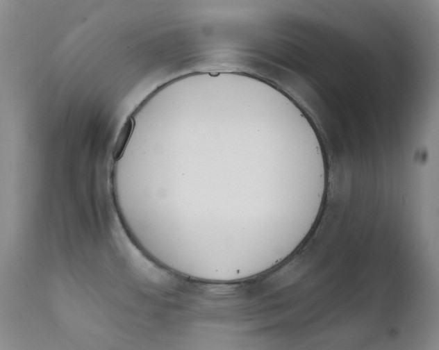 X0000111851484200909031715