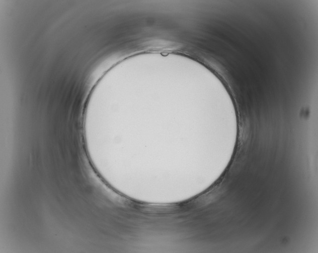 X0000111851487200909031715