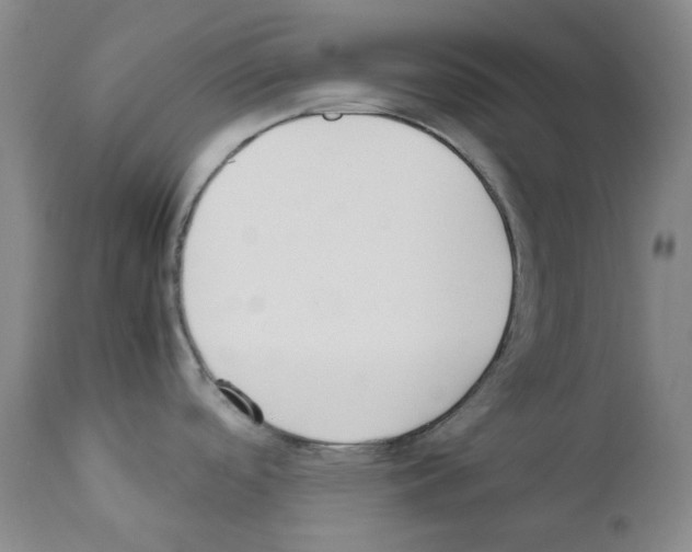 X0000111851488200909031715