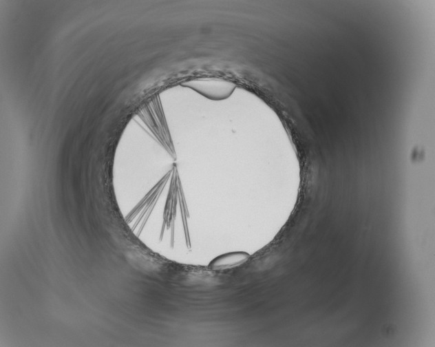X0000111851489200909031715