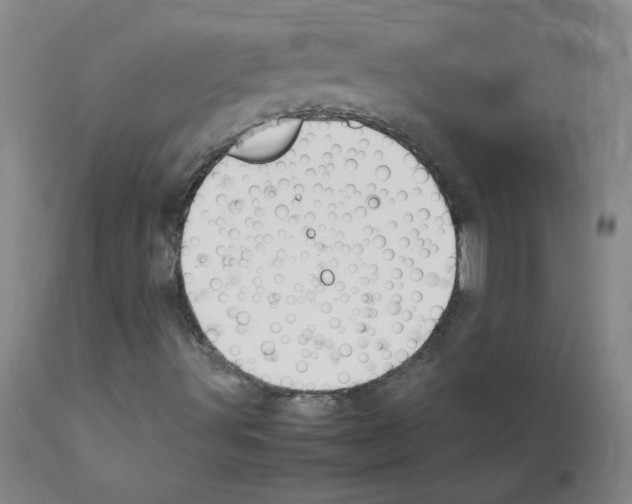 X0000111851491200909031715