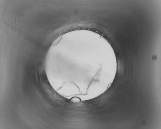 X0000111851492200909031715
