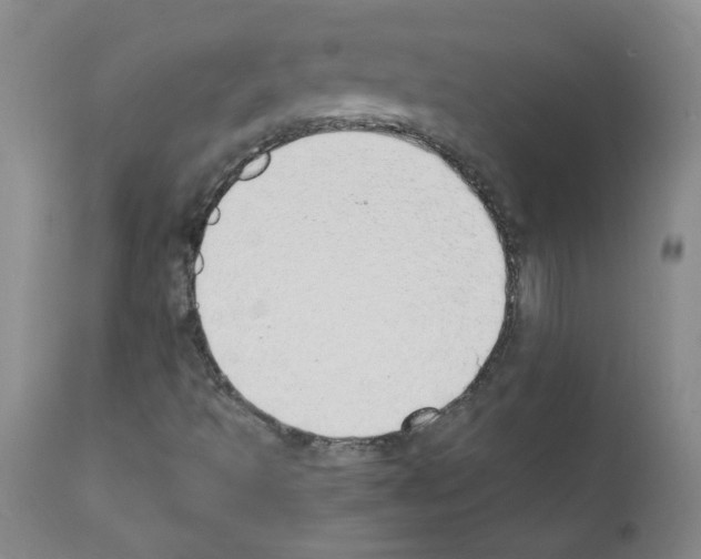 X0000111851493200909031715