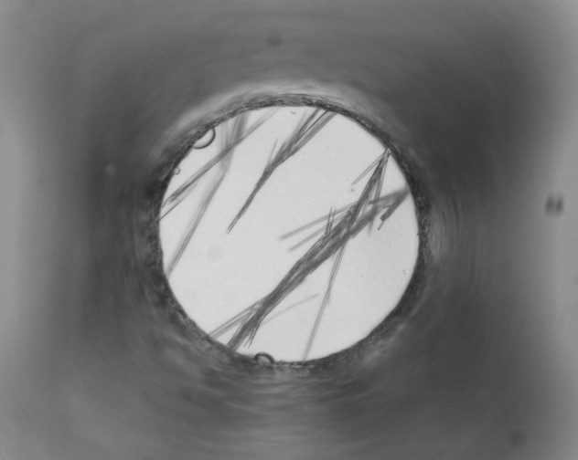 X0000111851494200909031715