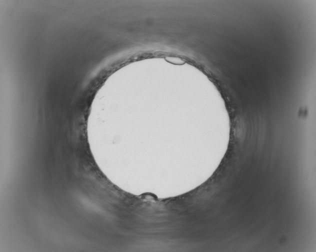 X0000111851495200909031715