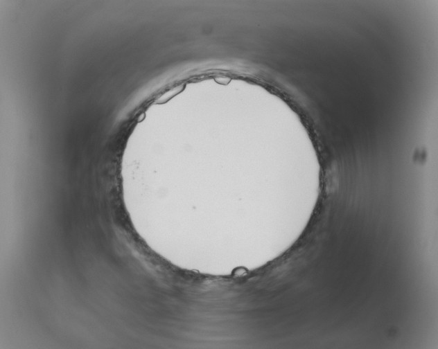 X0000111851496200909031715