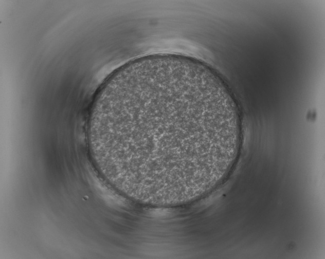 X0000111851497200909031715
