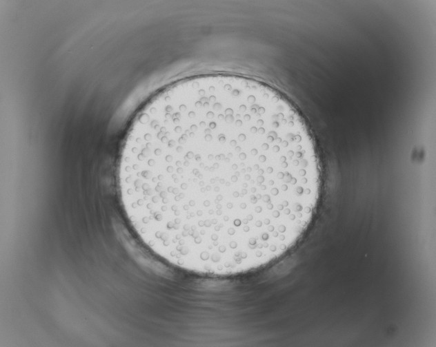 X0000111851499200909031715