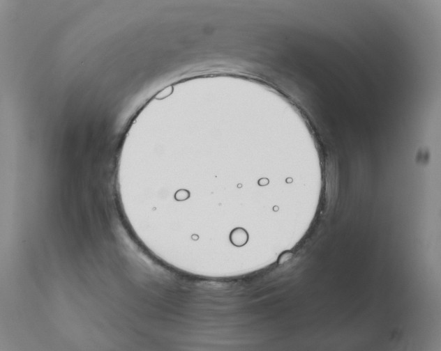 X0000111851500200909031715