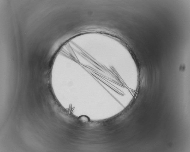 X0000111851501200909031715
