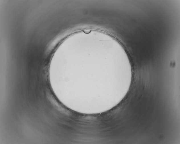 X0000111851503200909031715