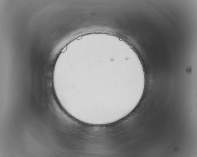 X0000111851504200909031715