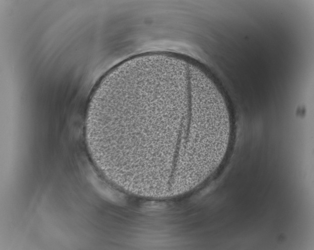 X0000111851505200909031715