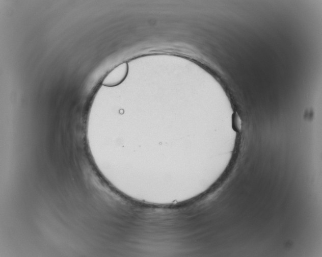 X0000111851506200909031715