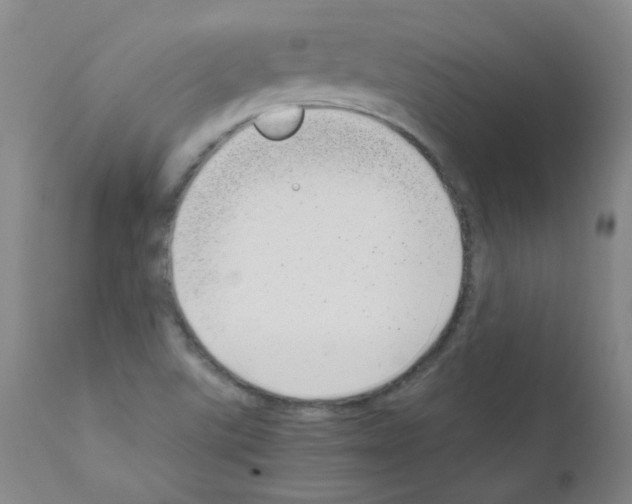 X0000111851507200909031715
