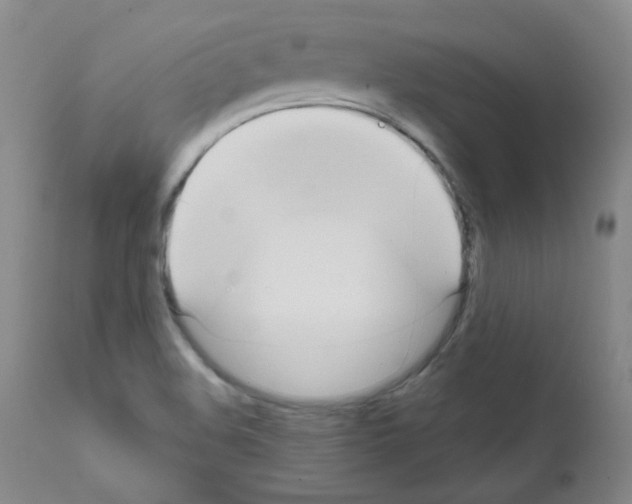 X0000111851508200909031715